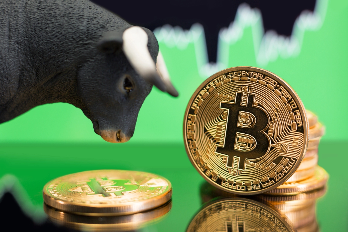 Bitcoin price will pump with these catalysts, experts say  