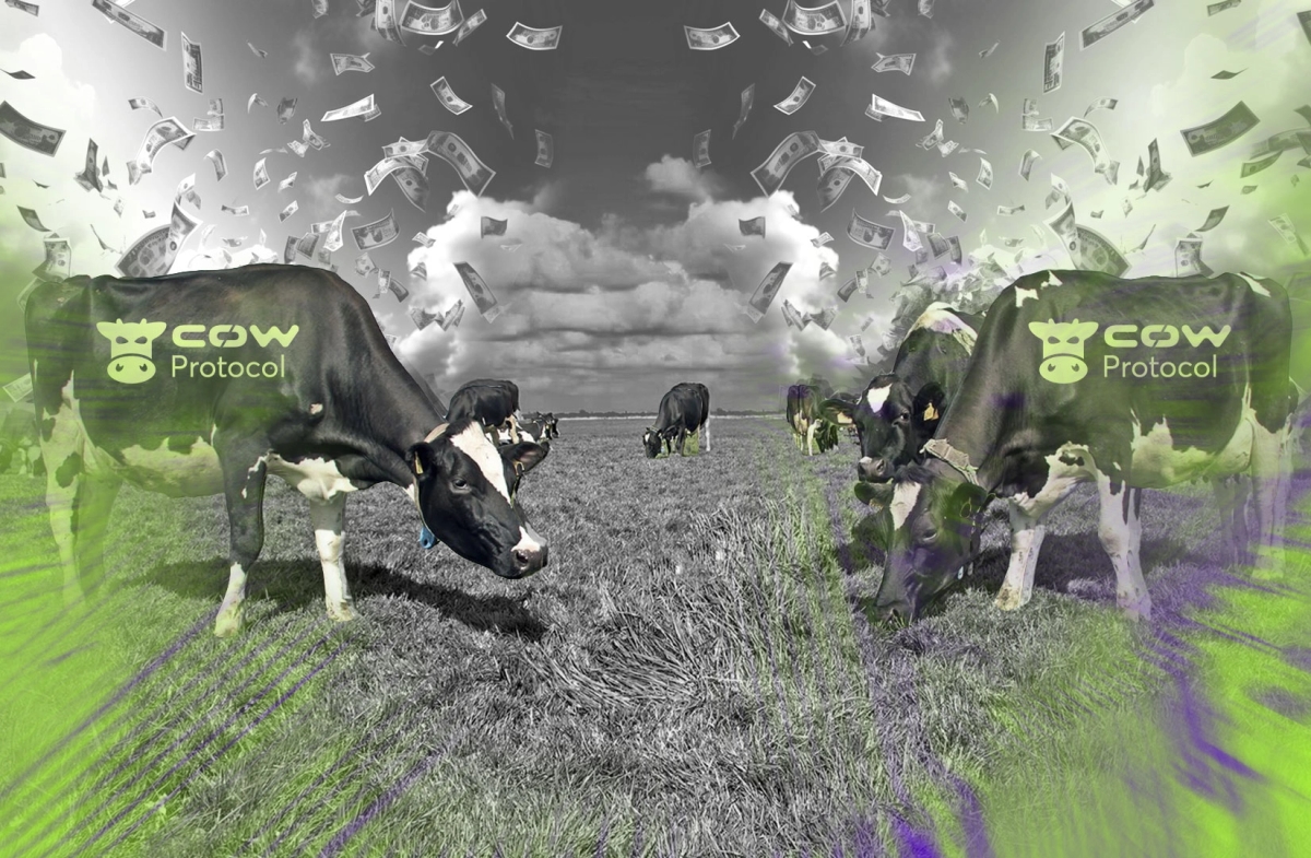 CoW Swap turns on the ‘fee switch’ to cash in on its $33bn trading volume