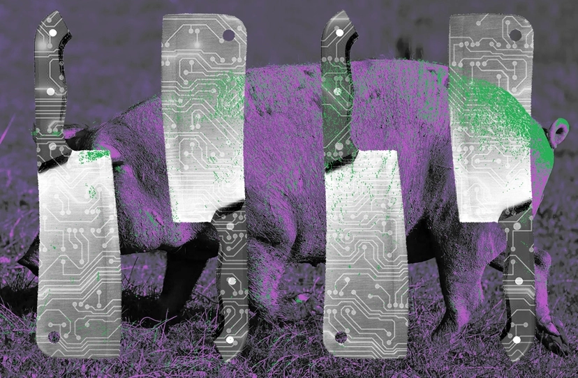 Pig-butchering scams have looted more than $75bn globally, new study says
