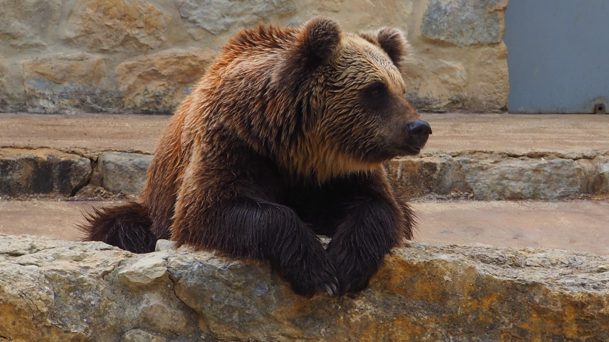 Crypto shorts lose $1.9bn as Coinbase and MicroStrategy outpace Bitcoin surge. More squeezes are coming