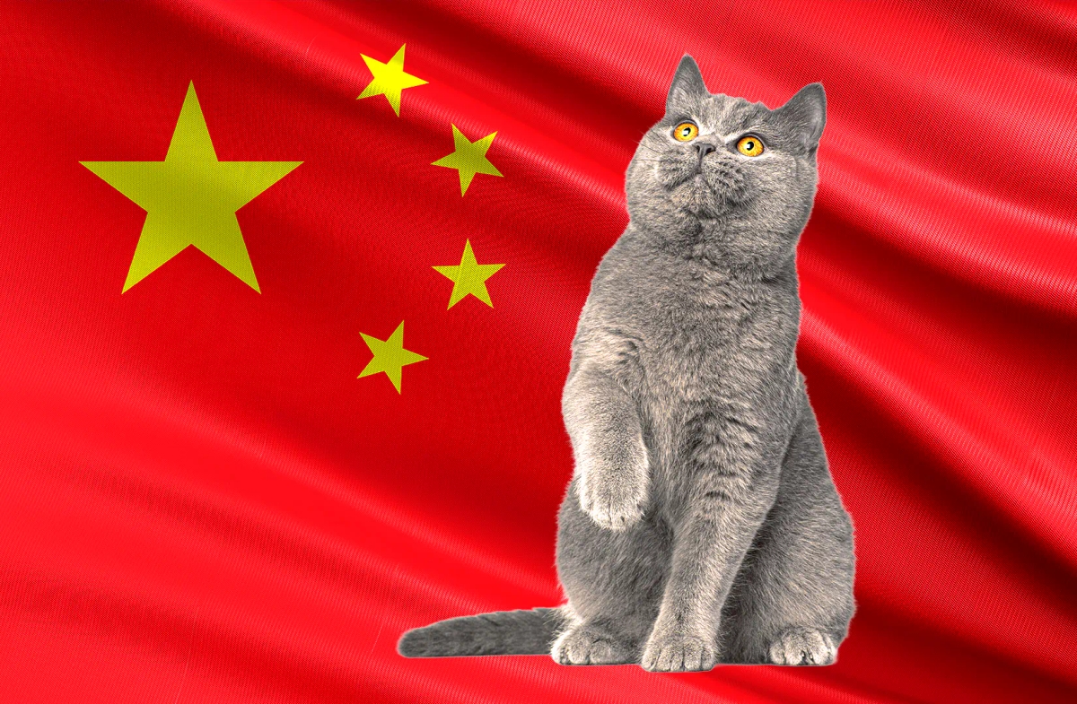 ‘Eyes gouged out’: Man paid crypto to torture and kill 1,500 cats, say activists after arrest