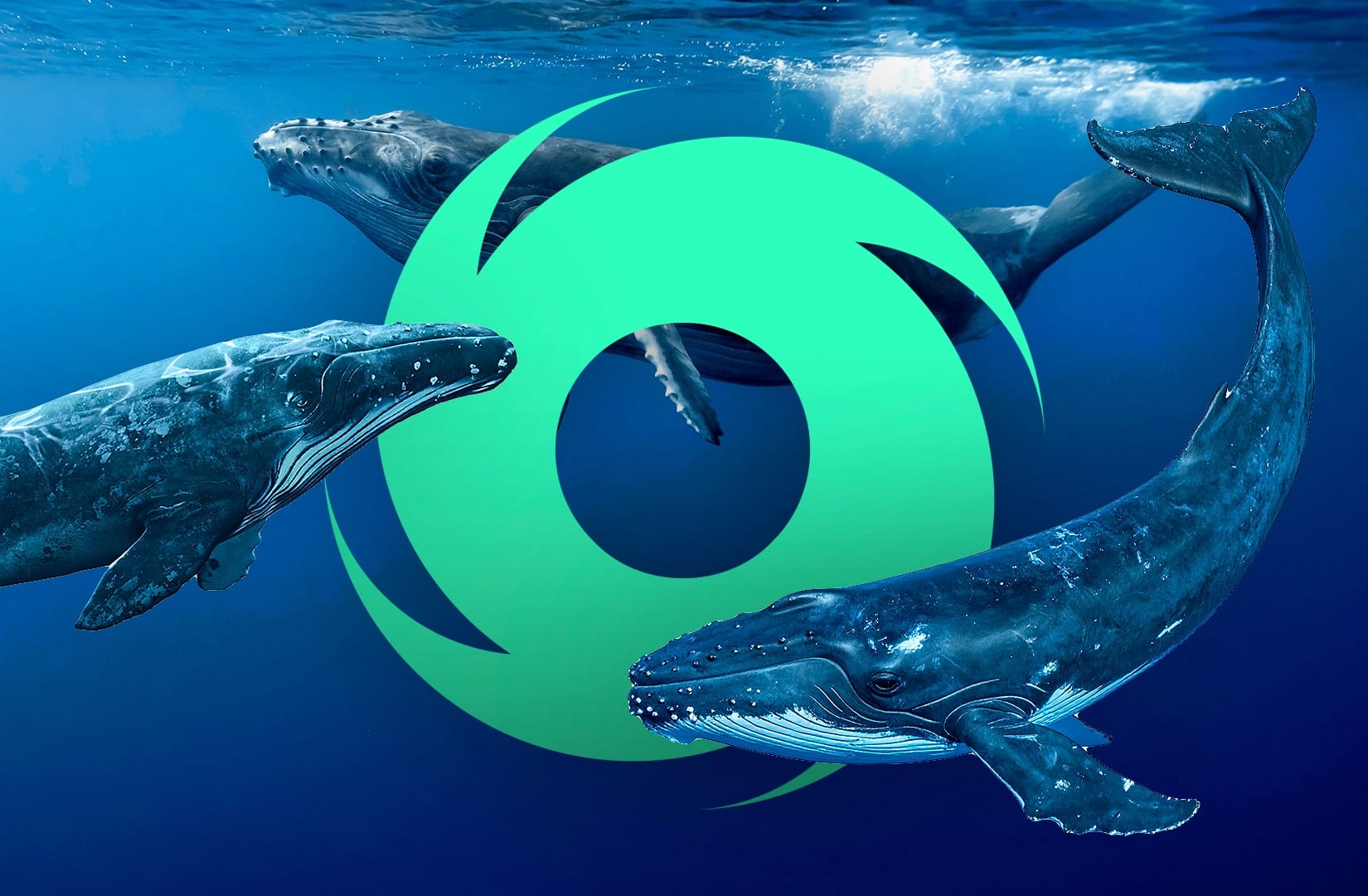 Tornado Cash volumes hit an all-time high as crypto walls pour millions into privacy protocol.