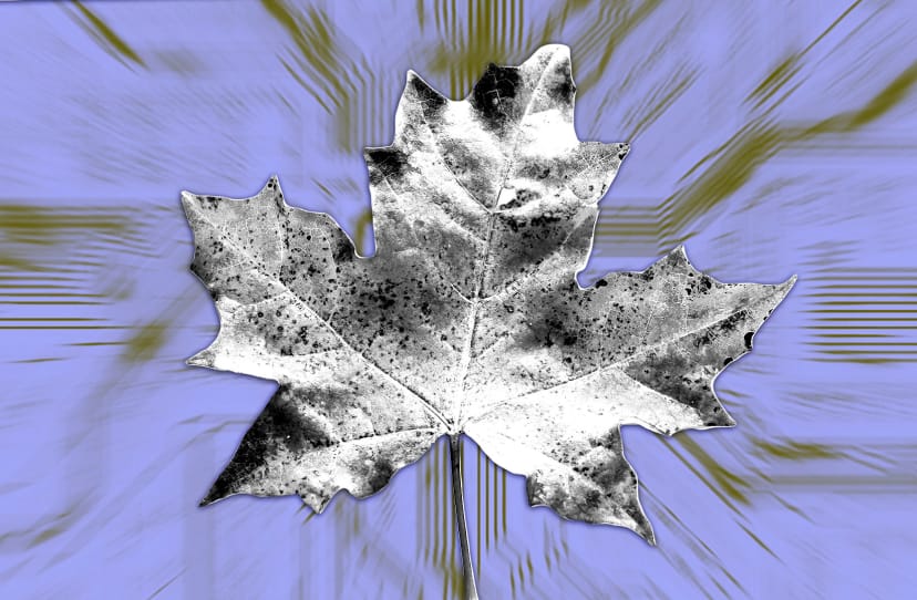 Why Maple is ditching under-collateralised lending: ‘No one’s profitable’