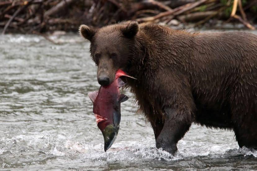 It’s time for altcoin investors to panic, says crypto hedge fund