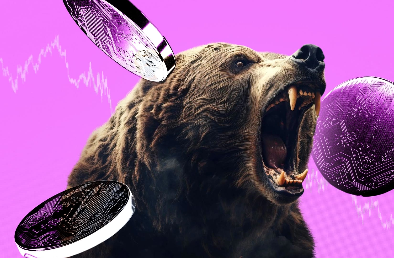 bear market