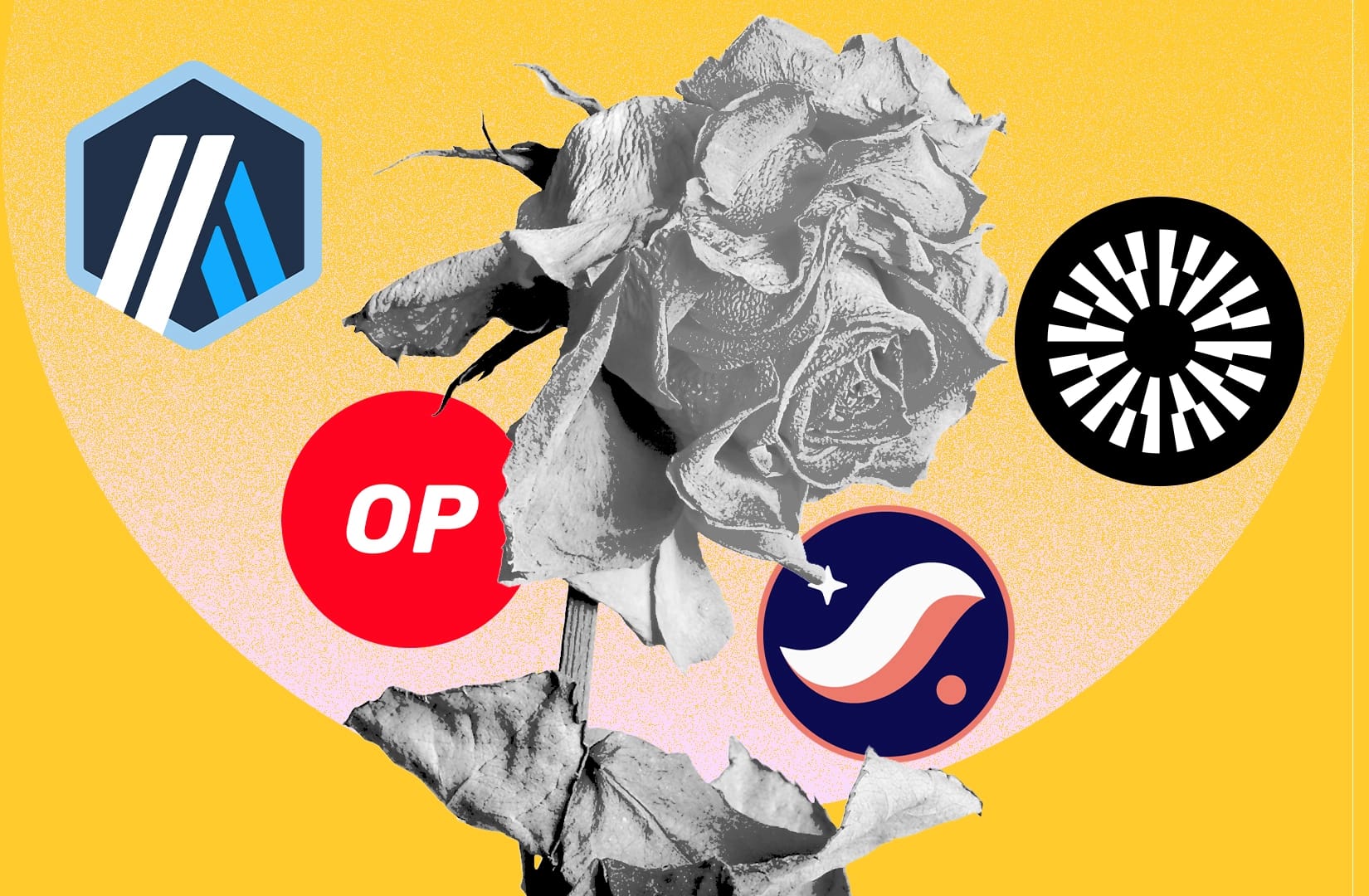 Layer 2 blockchains are booming. How come nobody wants their tokens?