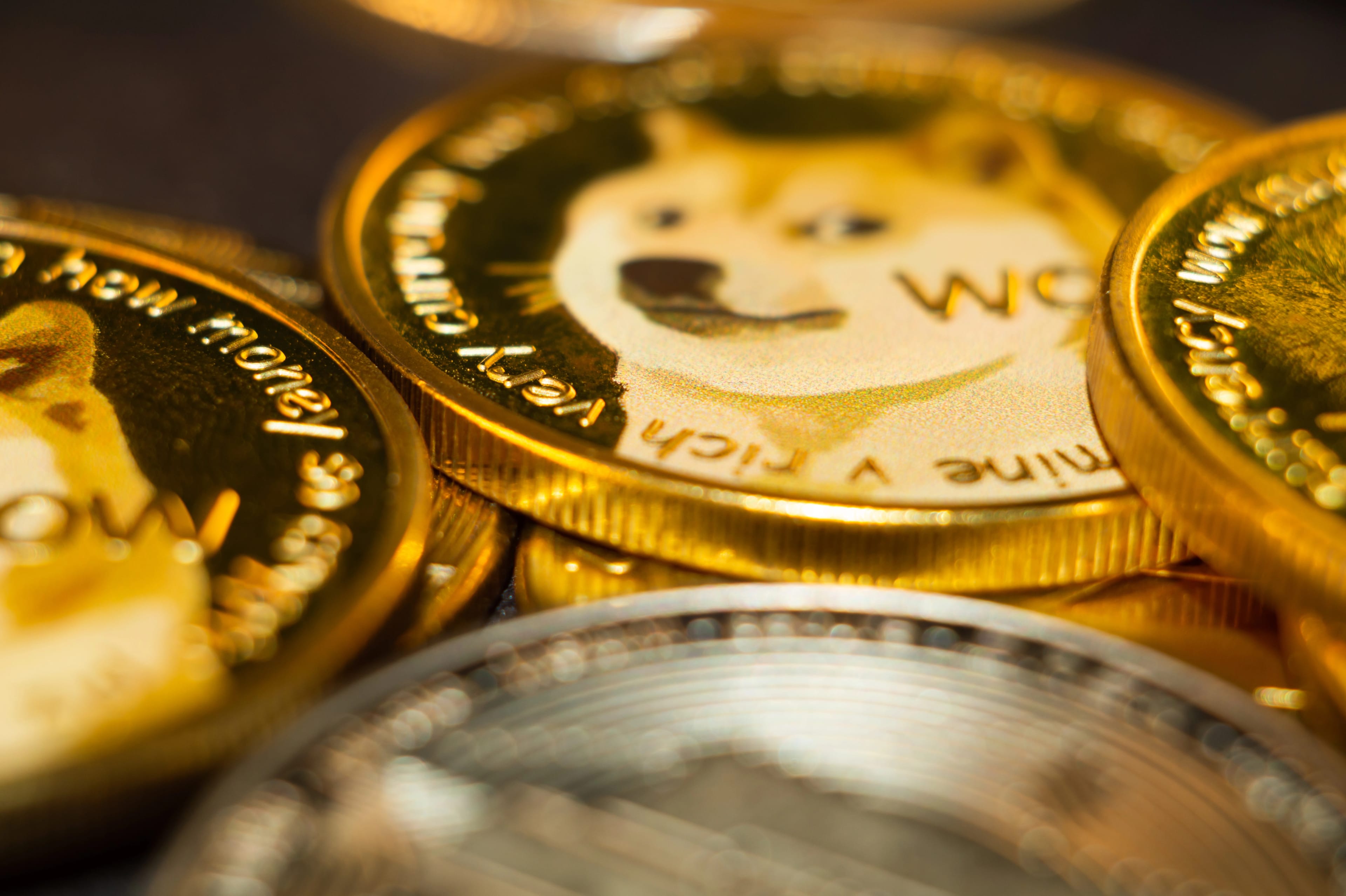 A,Closeup,Shot,Of,Cryptocurrency,Cash,Coins,With,A,Meme