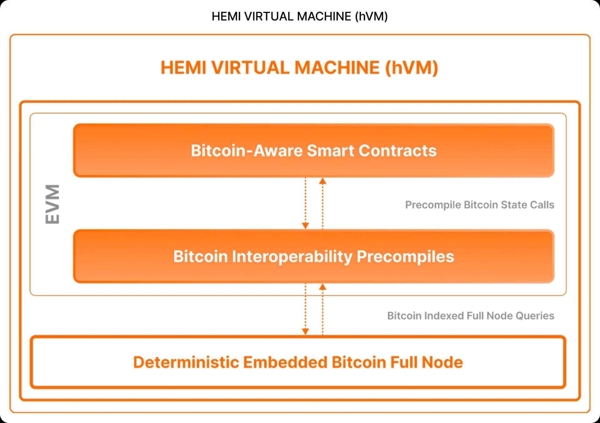 HEMI VIRTUAL MACHINE (hVM)