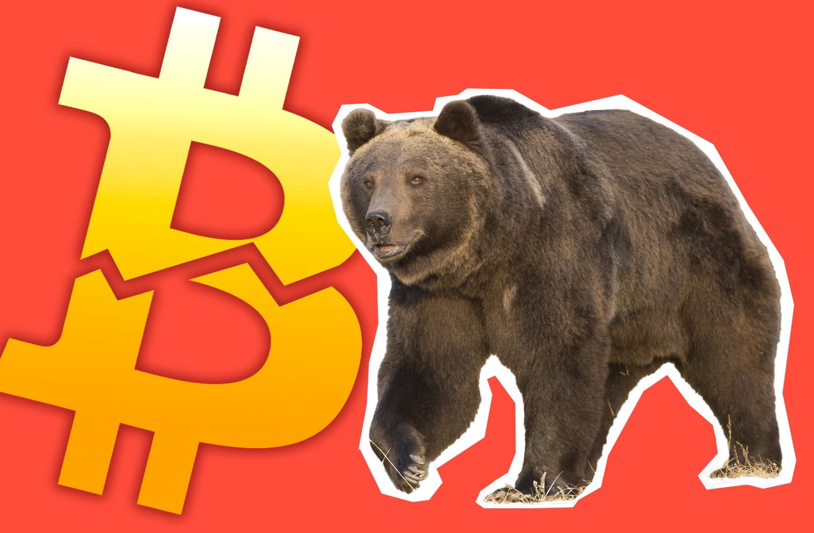 Bitcoin dumps, bearish price action.