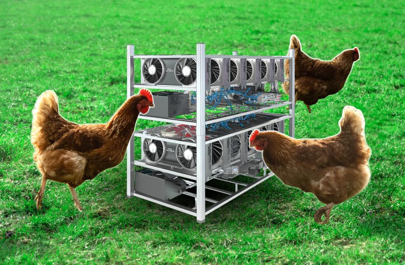 Investigators find scores of crypto mining farms disguised as chicken coops