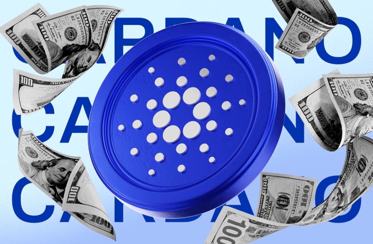 Cardano Foundation spent $15m to get people to use the blockchain last year, financial report shows