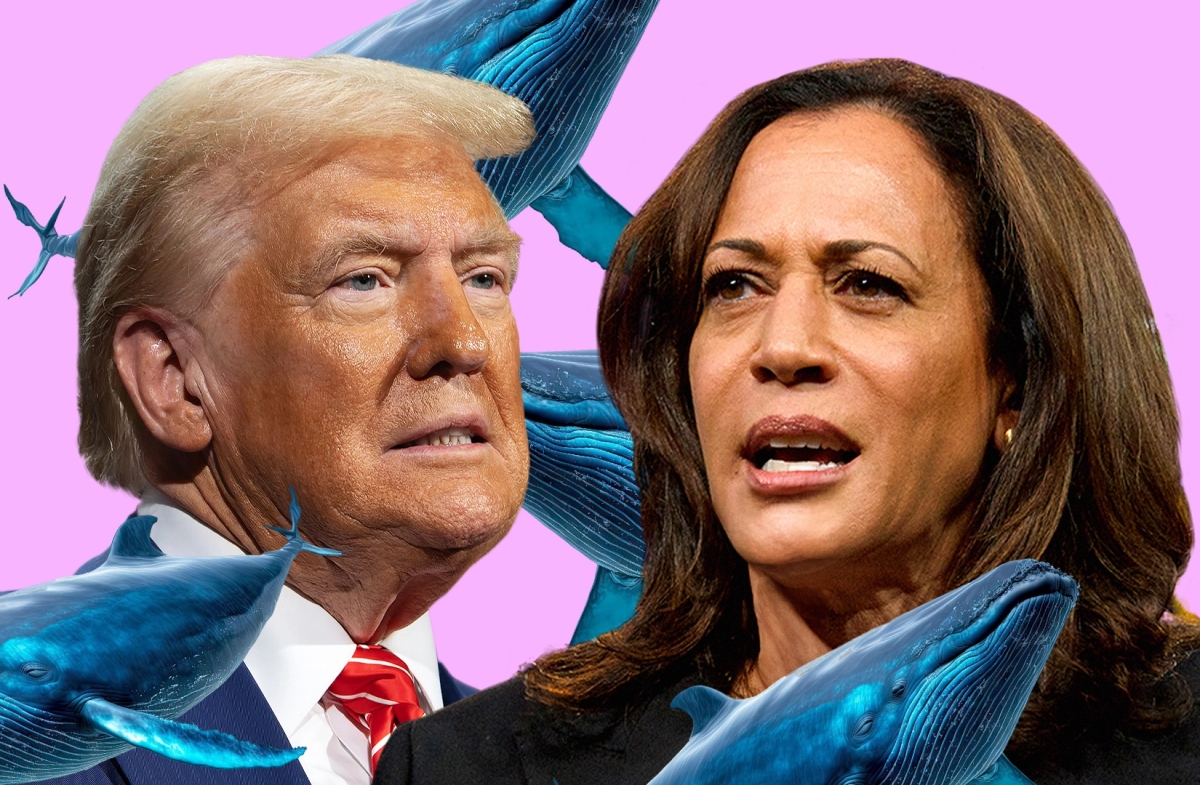 How four whales betting $25m on Trump are skewing Polymarket’s election odds