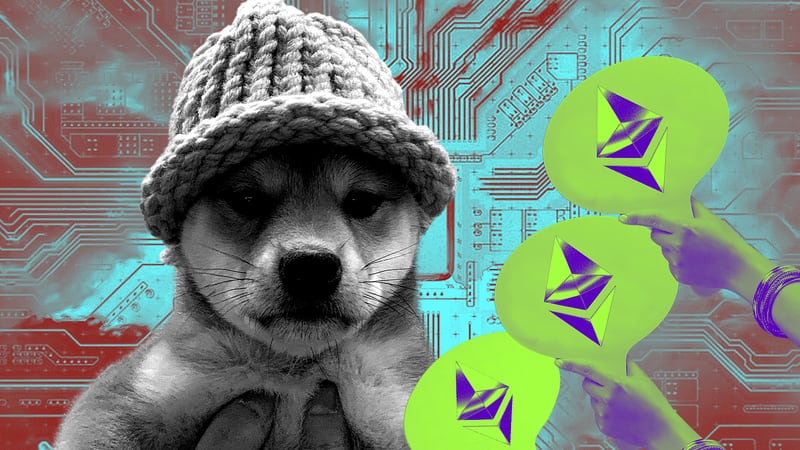 Shiba Inu that sparked Solana memecoin mania earns owners $4.3m in Ethereum