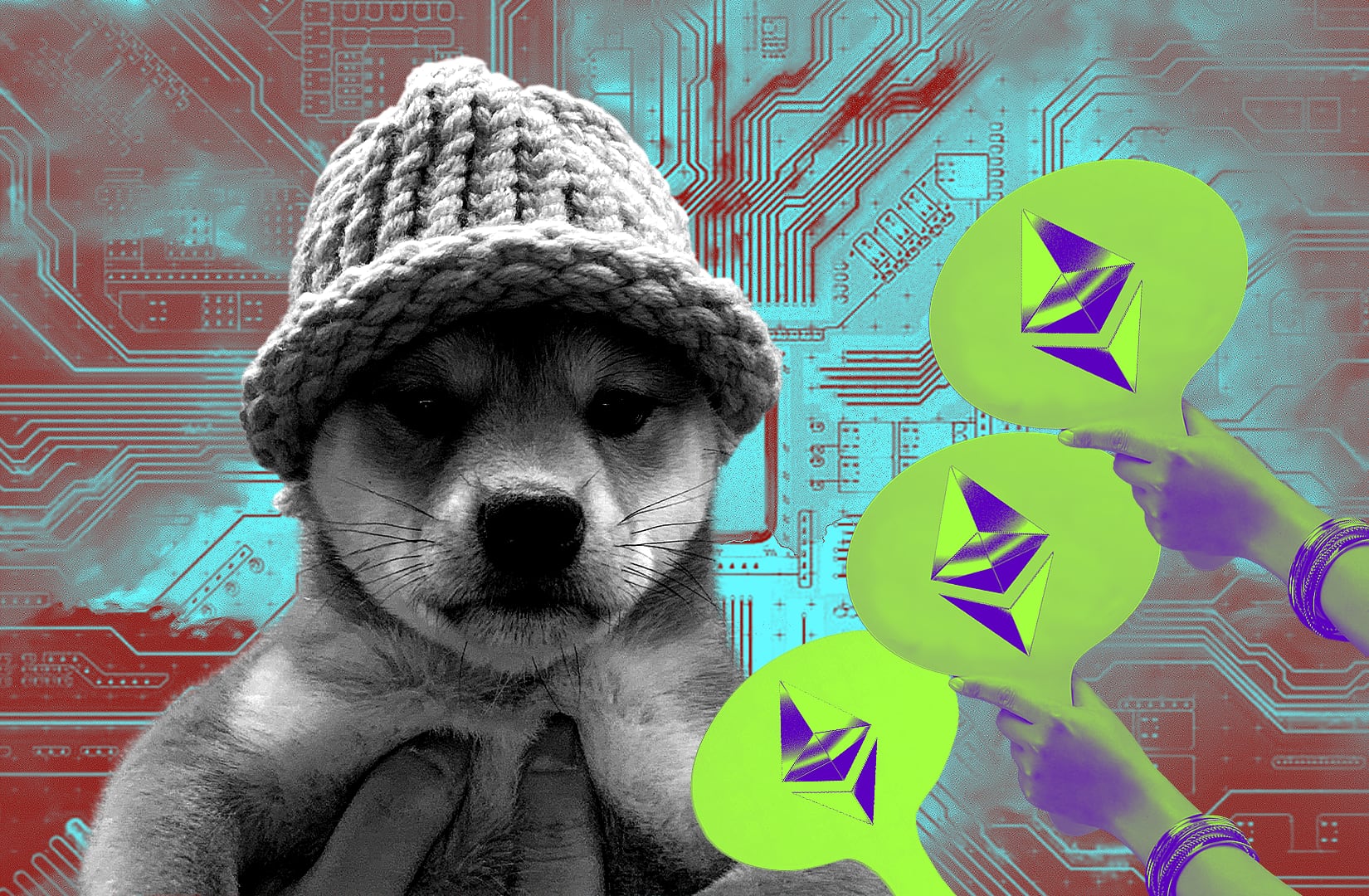 Shiba Inu that sparked Solana memecoin mania earns owners $4.3m in Ethereum  – DL News