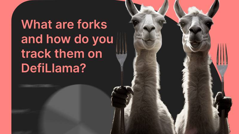 What are forks and how to track them