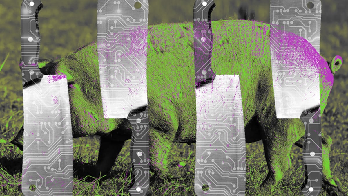 Tether reveals scale of crypto romance scams by freezing $225m in stolen USDT