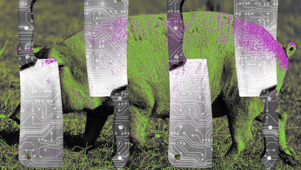 Recovering scammed assets should be easier with blockchain data but it’s not