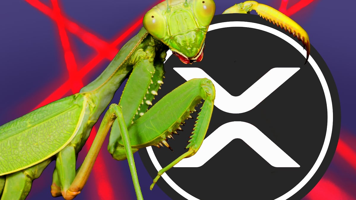 Ripple offers $200,000 to those who find bugs in coming XRP Ledger lending protocol