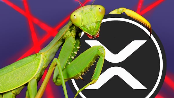 Ripple offers $200,000 to those who find bugs in coming XRP Ledger lending protocol