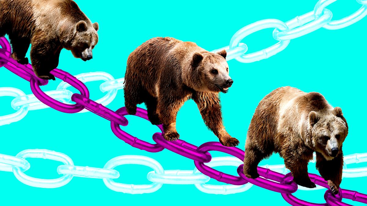 How DeFi protocols are playing Berachain’s 79m token airdrop