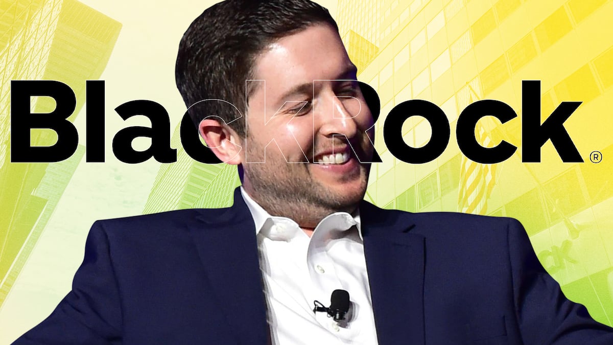 Most of BlackRock’s $2.5bn tokenised fund is held by four wallets. Here’s why, says Michael Sonnenshein