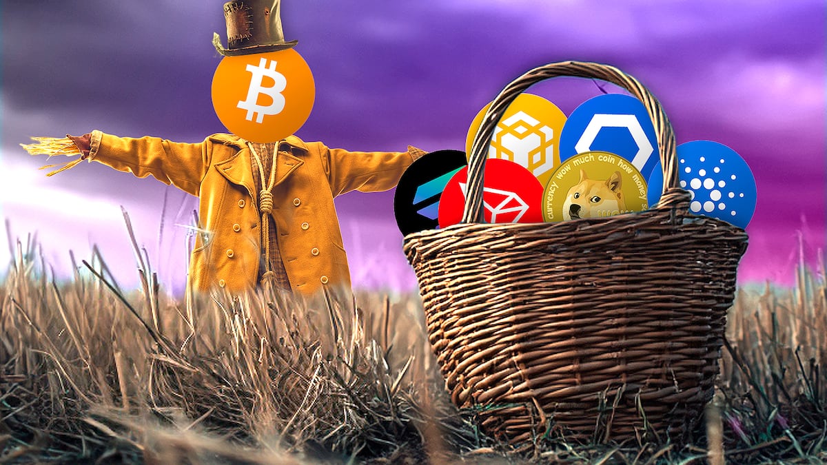 Altcoin season’s here. These three drivers are seen to fuel the rally
