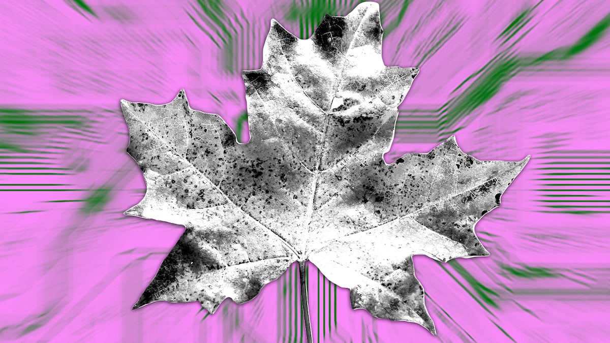 How Maple Finance made a comeback to reach $1m monthly revenue