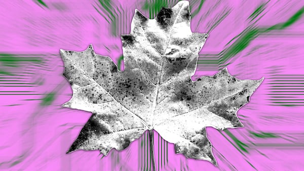 How Maple Finance made a comeback to reach $1m monthly revenue