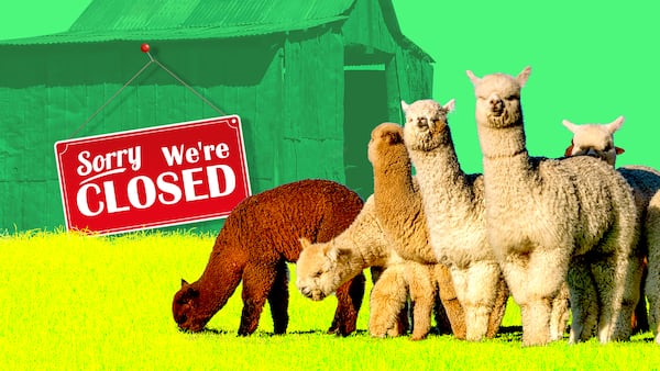 Alpaca Finance, once a $1bn DeFi darling, is done. Here’s what went wrong