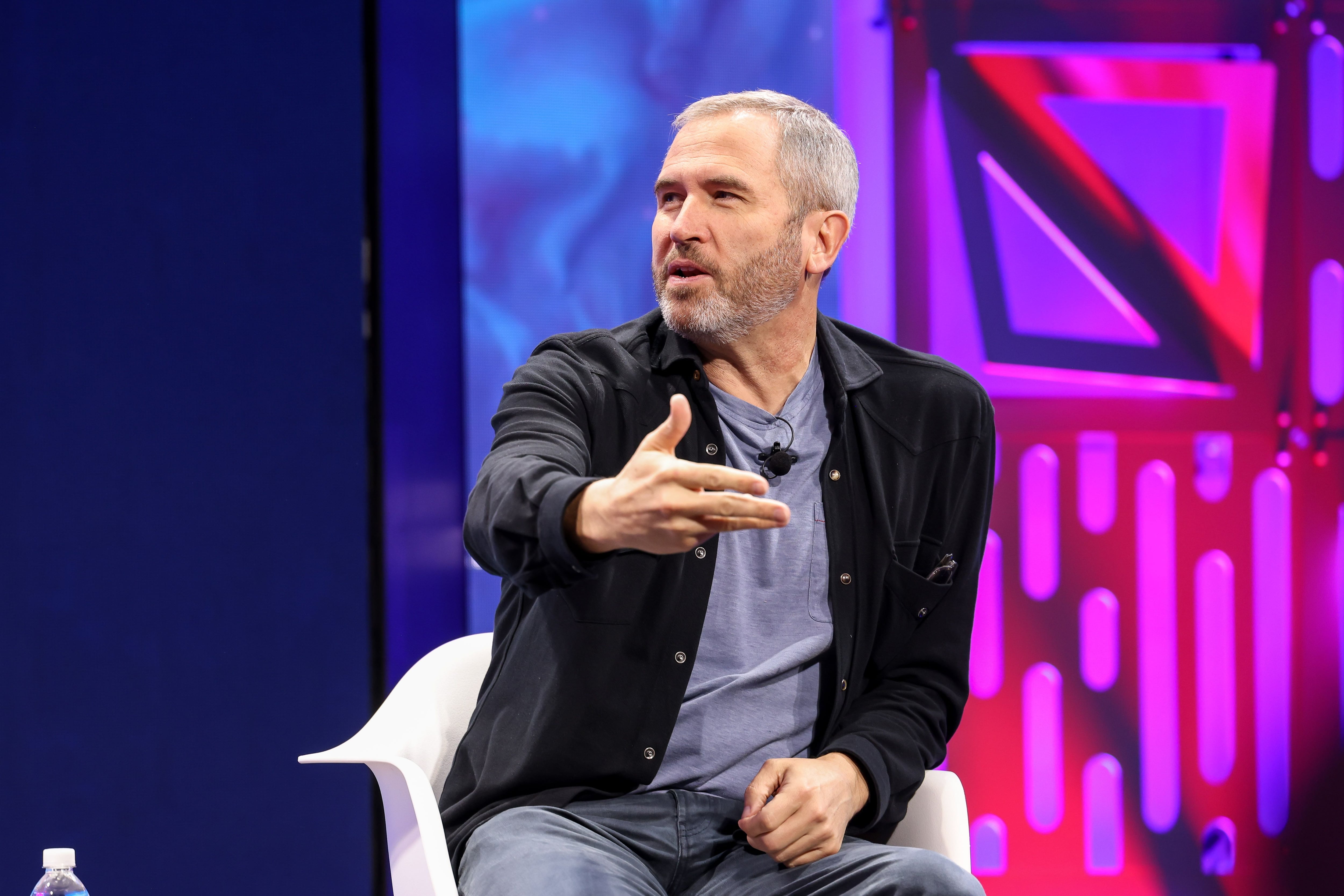 Ripple acquisitions to slow in 2026, CEO says – DL News