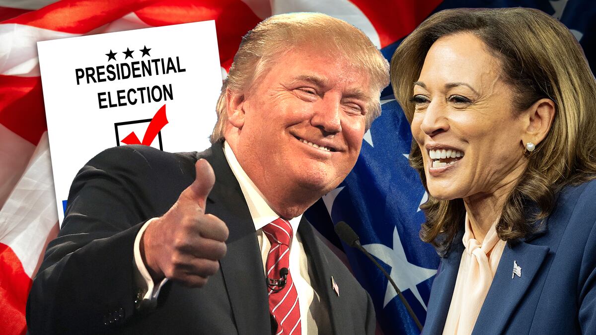 Bitcoin price steady amid first US election exit polls