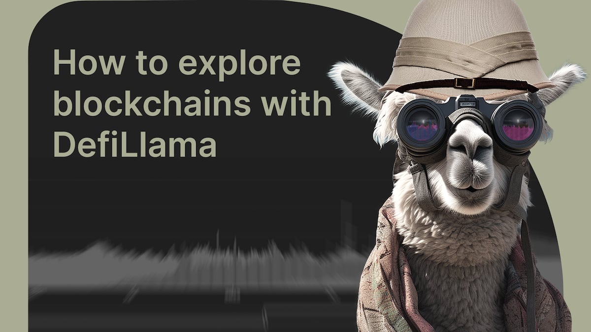 How to explore blockchains