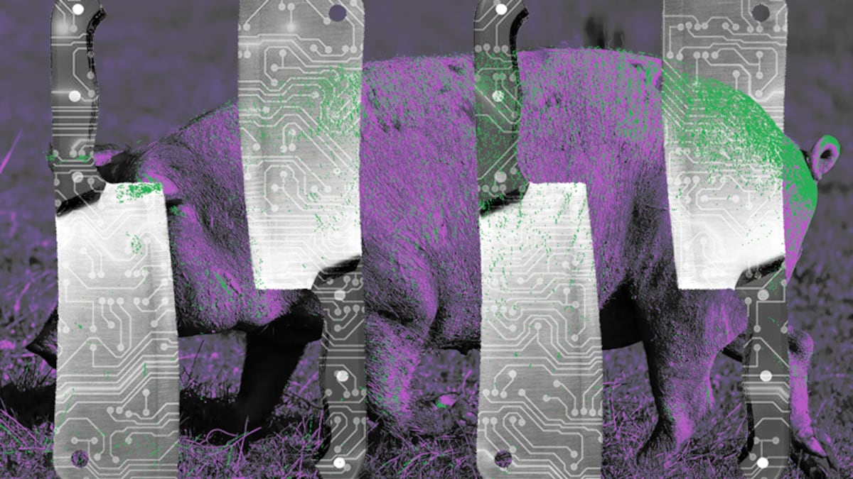 Pig-butchering scams have looted more than $75bn globally, new study says