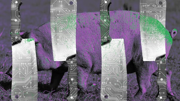Serial ‘pig butchering’ scam victim loses almost $10m in crypto despite warnings