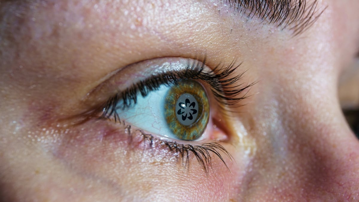 OpenAI CEO nears $100m raise for Worldcoin, what to expect at the next Tornado Cash hearing