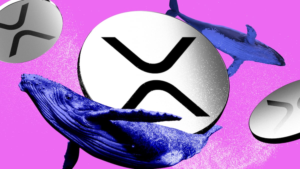 XRP whales pile $560m into Ripple-linked crypto despite ETF approval freeze