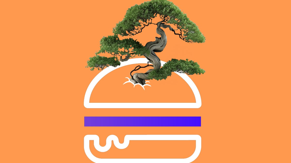 Umami attempts comeback with Maker-style transformation