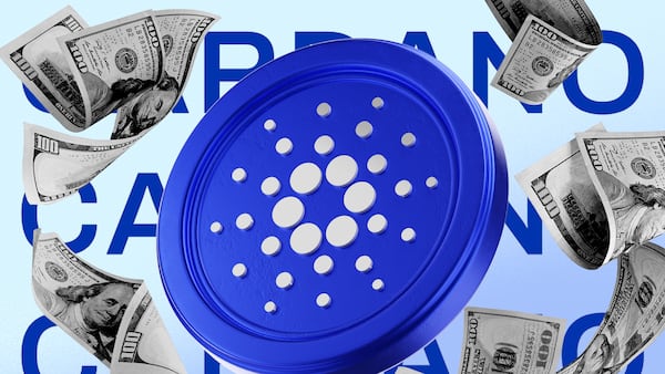 Cardano Foundation spent $15m to get people to use the blockchain last year, financial report shows