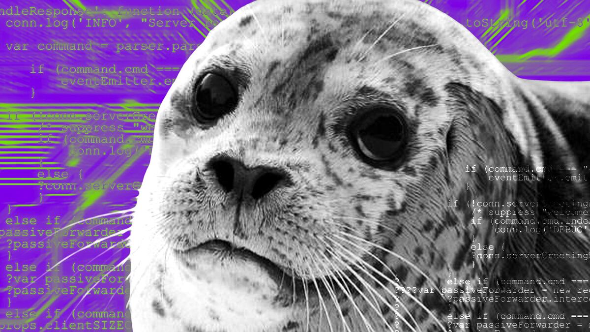 New Seal 911 team stops crypto thief mid-hack and saves $200,000