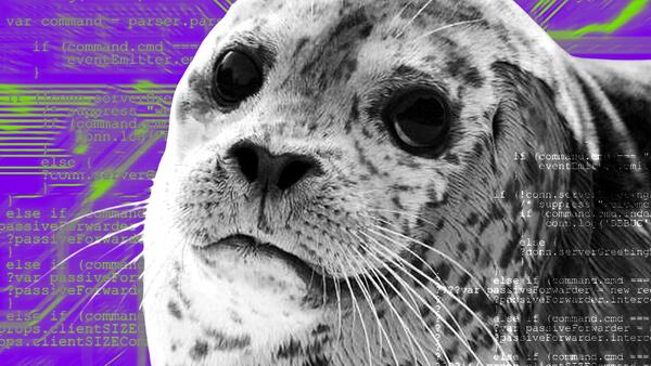 New Seal 911 team stops crypto thief mid-hack and saves $200,000