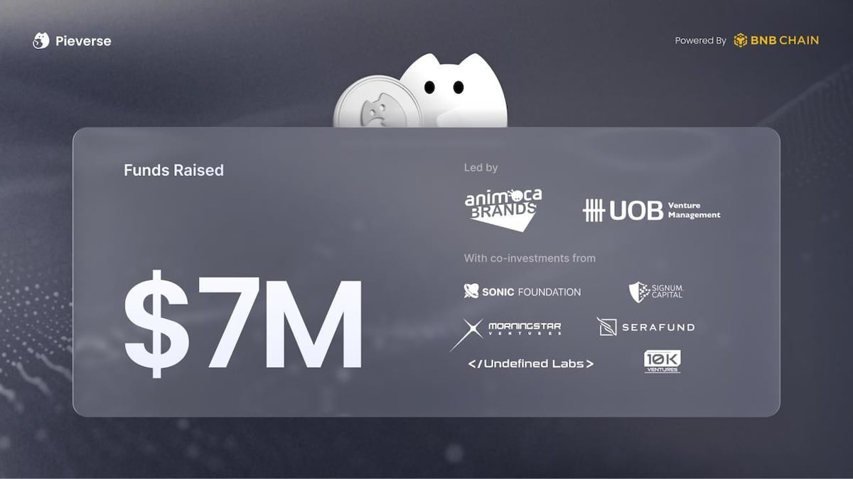Pieverse Secures $7 Million in Strategic Funding Round Led by Animoca Brands and UOB Ventures