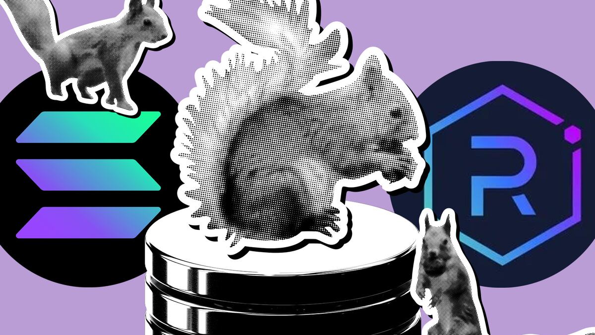 Pnut memecoin trader turns $17 into $3 million. Here’s how they did it