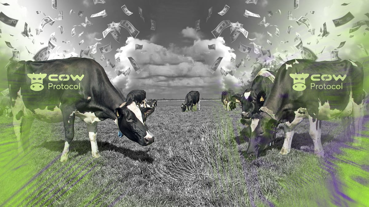 CoW Swap turns on the ‘fee switch’ to cash in on its $33bn trading volume