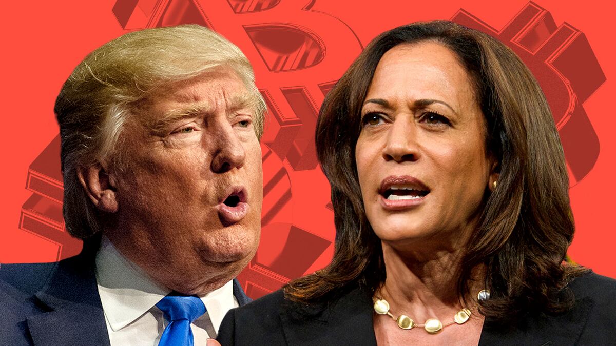 Why this crypto hedge fund favours Bitcoin ahead of the US election