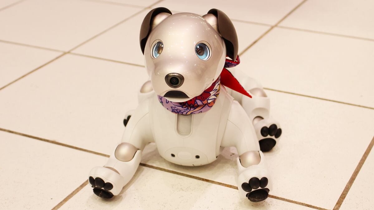 Traders seethe after Sony freezes memecoins on its new blockchain