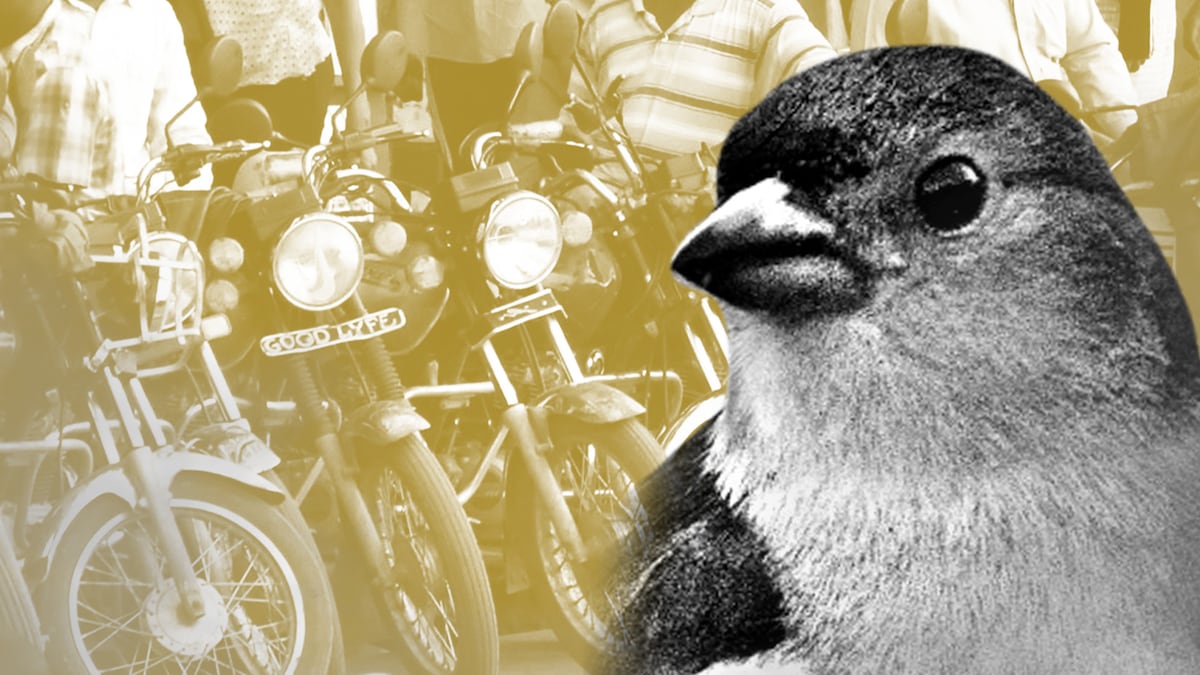 Crypto lender Goldfinch faces bumpy road after motorbike company defaults on $5m loan