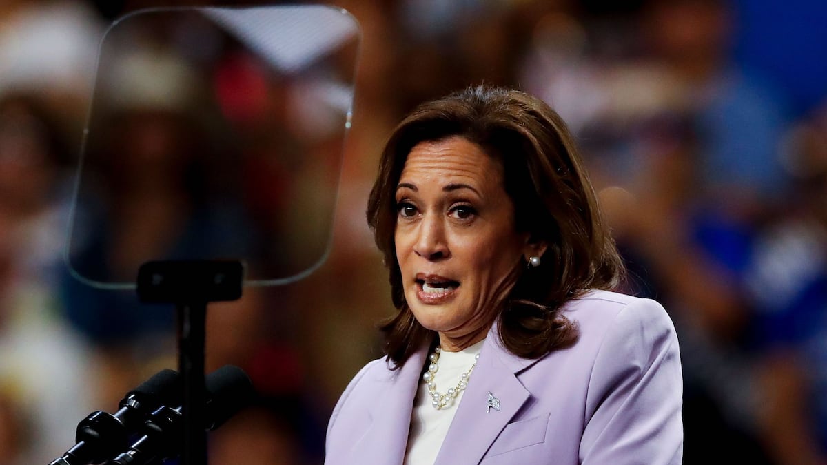 Harris presidential lead to blame for weak Bitcoin price, Bernstein says