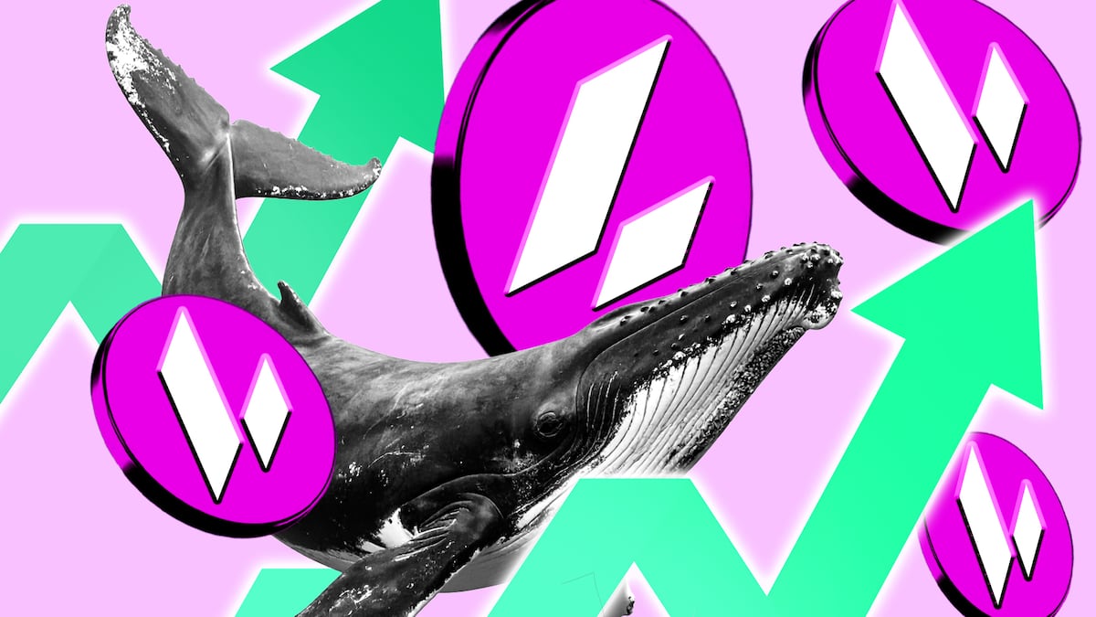 Lighter token bounces 37% as protocol begins buybacks and whales buy in