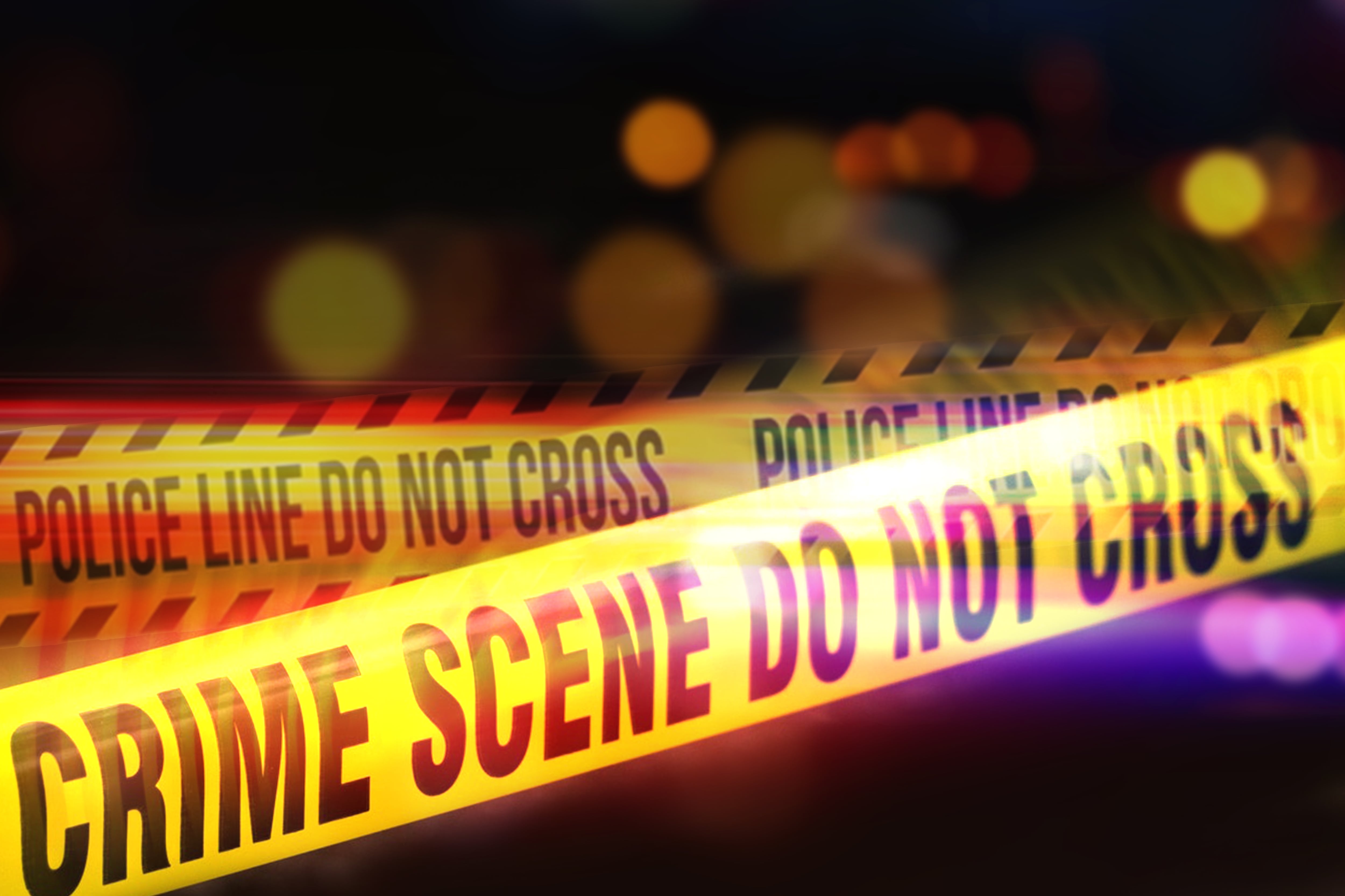 Convicted crypto felon behind $500m scam found butchered alongside wife in  desert: report – DL News