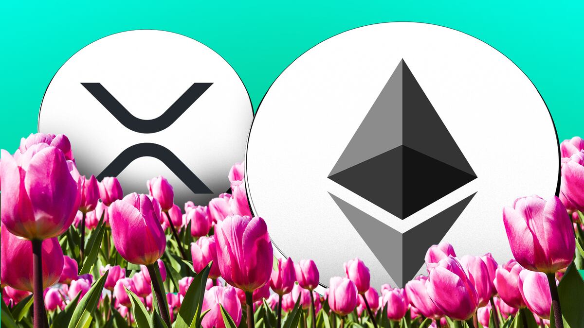 XRP and Ethereum volume surge flashes glimmers of altcoin spring
